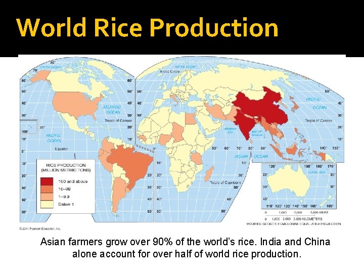 World Rice Production Asian farmers grow over 90% of the world’s rice. India and