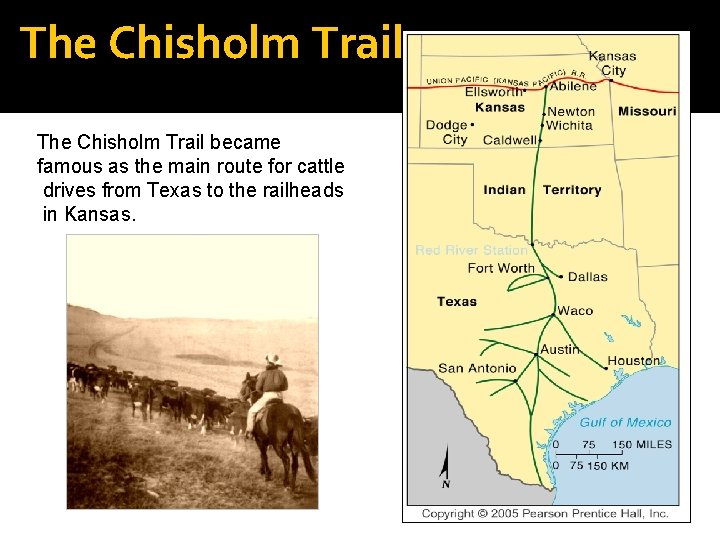The Chisholm Trail became famous as the main route for cattle drives from Texas