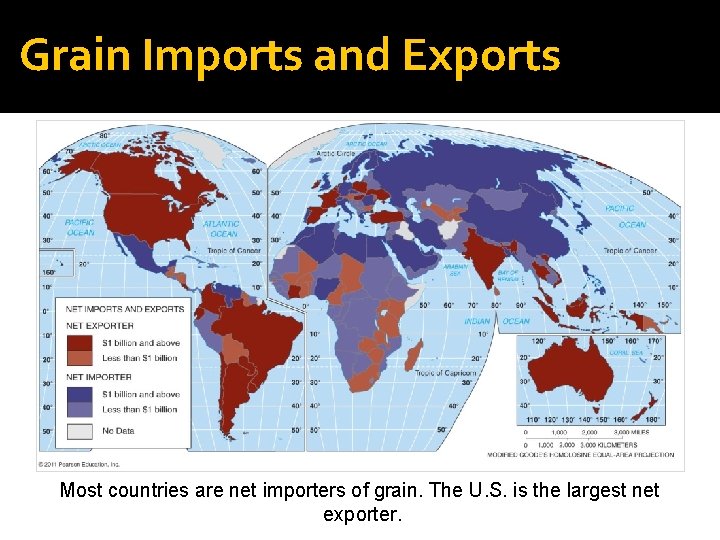 Grain Imports and Exports Most countries are net importers of grain. The U. S.