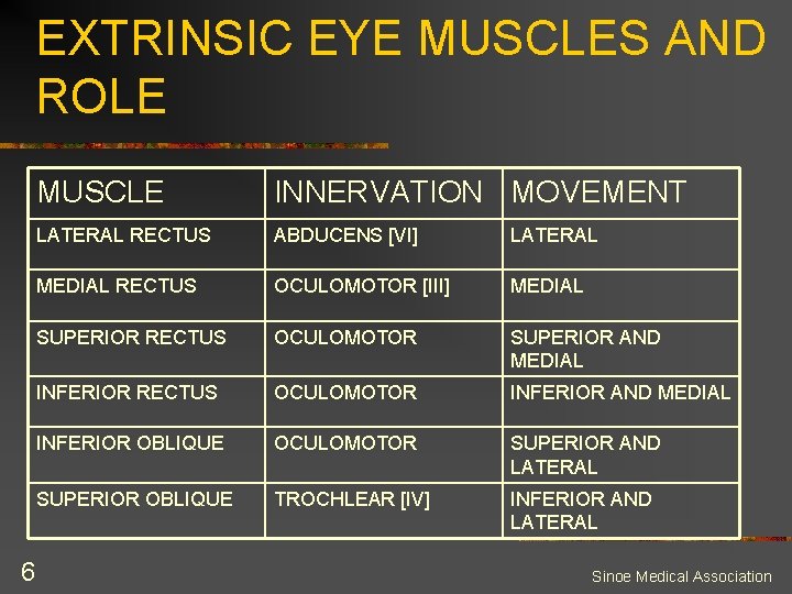EXTRINSIC EYE MUSCLES AND ROLE 6 MUSCLE INNERVATION MOVEMENT LATERAL RECTUS ABDUCENS [VI] LATERAL