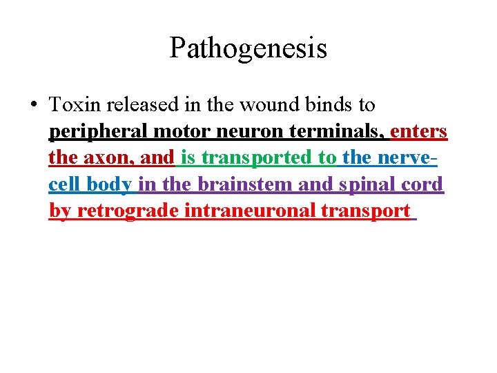 Pathogenesis • Toxin released in the wound binds to peripheral motor neuron terminals, enters