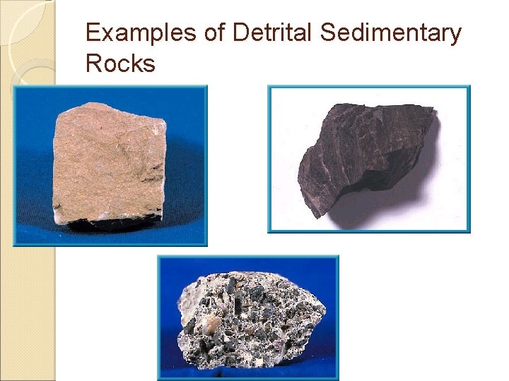 Examples of Detrital Sedimentary Rocks 