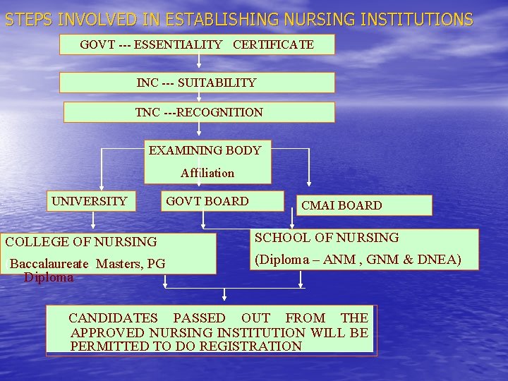 STEPS INVOLVED IN ESTABLISHING NURSING INSTITUTIONS GOVT --- ESSENTIALITY CERTIFICATE INC --- SUITABILITY TNC