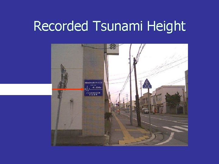 Recorded Tsunami Height 