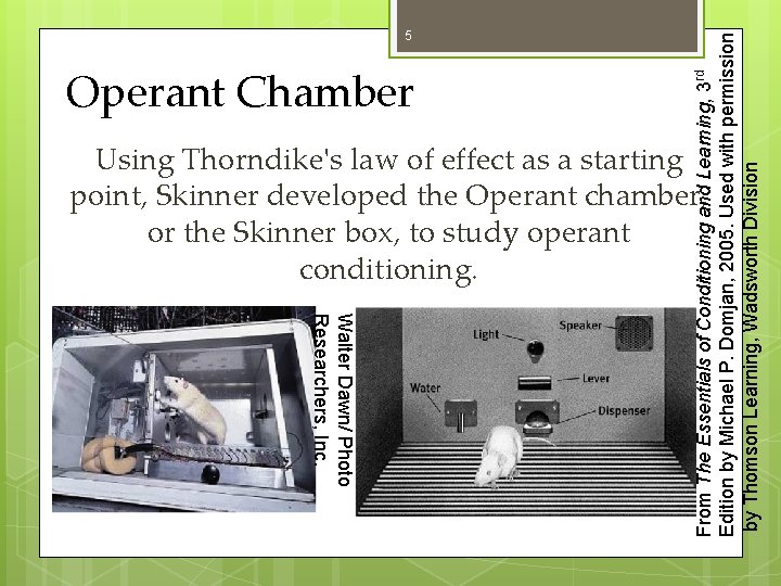 Operant Chamber From The Essentials of Conditioning and Learning, 3 rd Edition by Michael