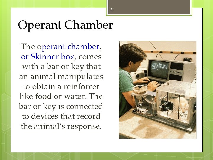 6 Operant Chamber The operant chamber, or Skinner box, comes with a bar or