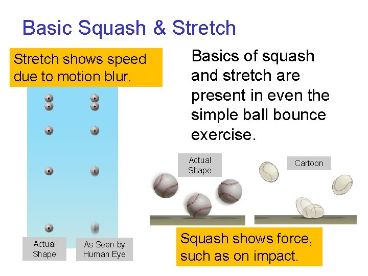 Basic Squash & Stretch shows speed due to motion blur. Basics of squash and