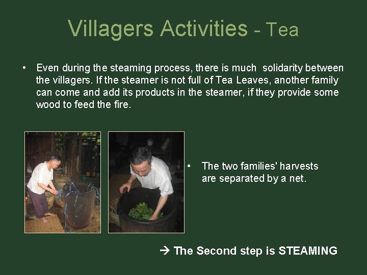 Villagers Activities - Tea • Even during the steaming process, there is much solidarity