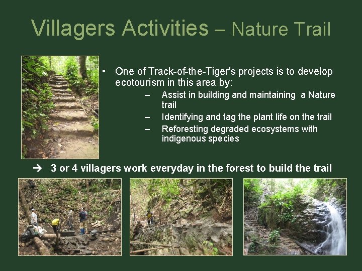 Villagers Activities – Nature Trail • One of Track-of-the-Tiger's projects is to develop ecotourism