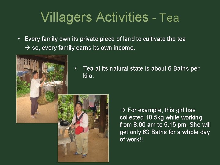 Villagers Activities - Tea • Every family own its private piece of land to