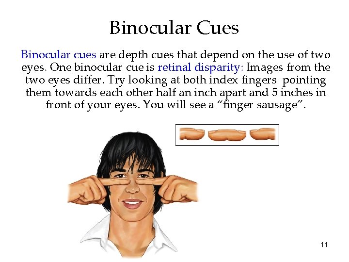 Binocular Cues Binocular cues are depth cues that depend on the use of two