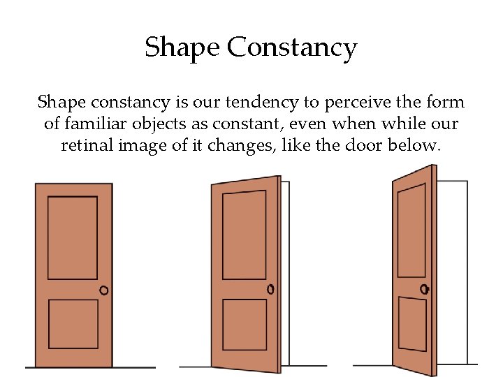 Shape Constancy Shape constancy is our tendency to perceive the form of familiar objects