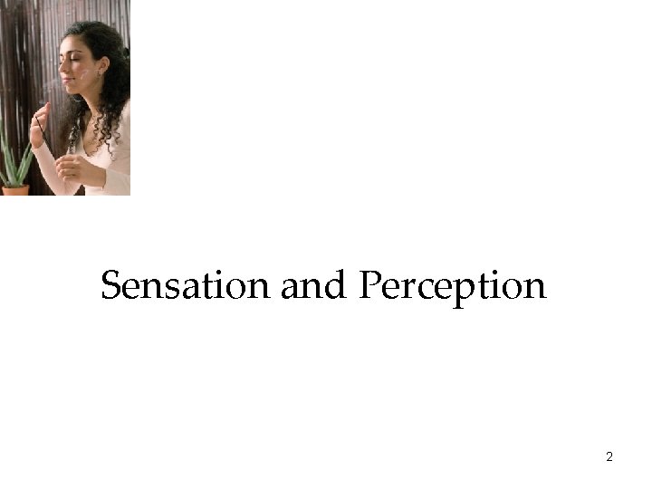 Sensation and Perception 2 