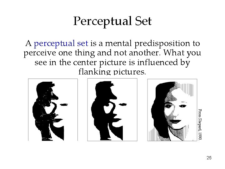 Perceptual Set A perceptual set is a mental predisposition to perceive one thing and