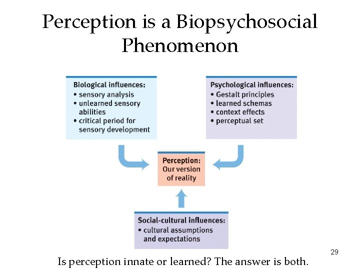 Perception is a Biopsychosocial Phenomenon Is perception innate or learned? The answer is both.