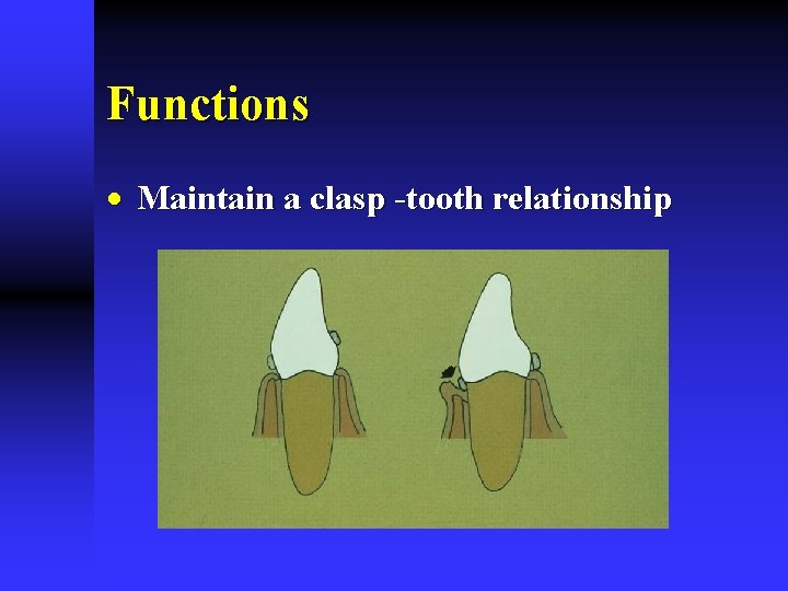 Functions · Maintain a clasp -tooth relationship 