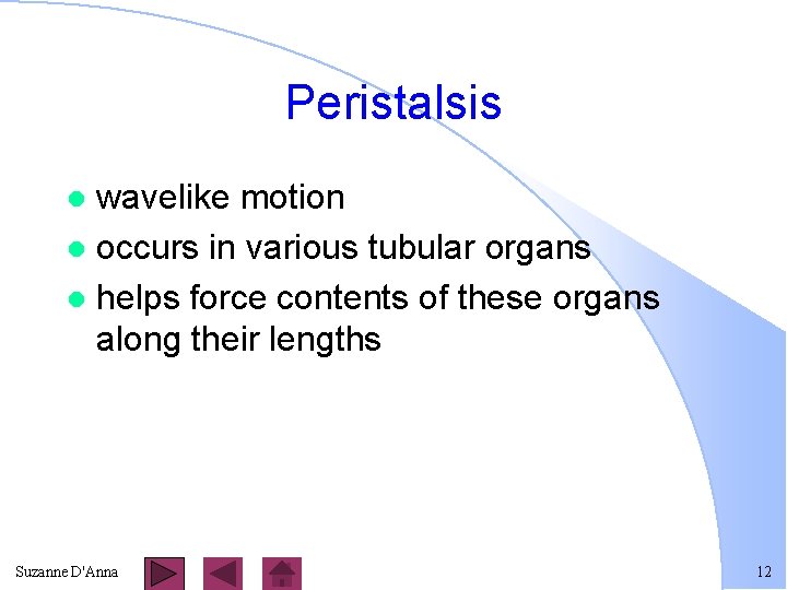 Peristalsis wavelike motion l occurs in various tubular organs l helps force contents of