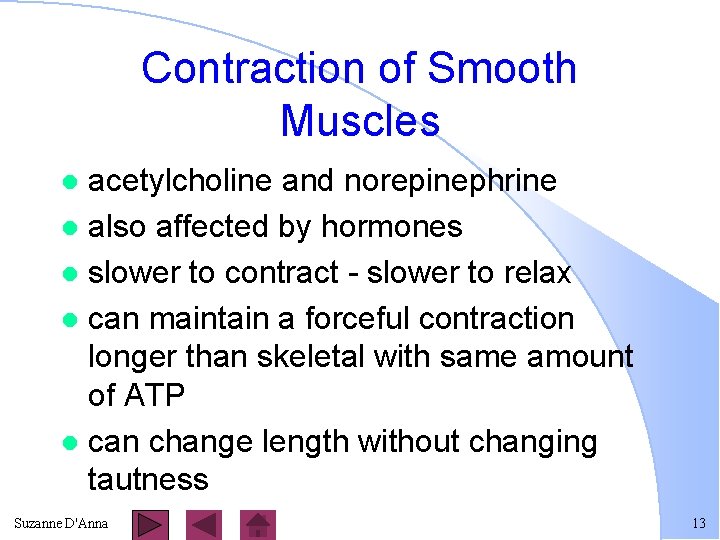 Contraction of Smooth Muscles acetylcholine and norepinephrine l also affected by hormones l slower