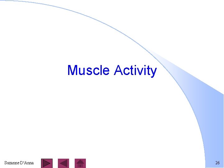 Muscle Activity Suzanne D'Anna 26 
