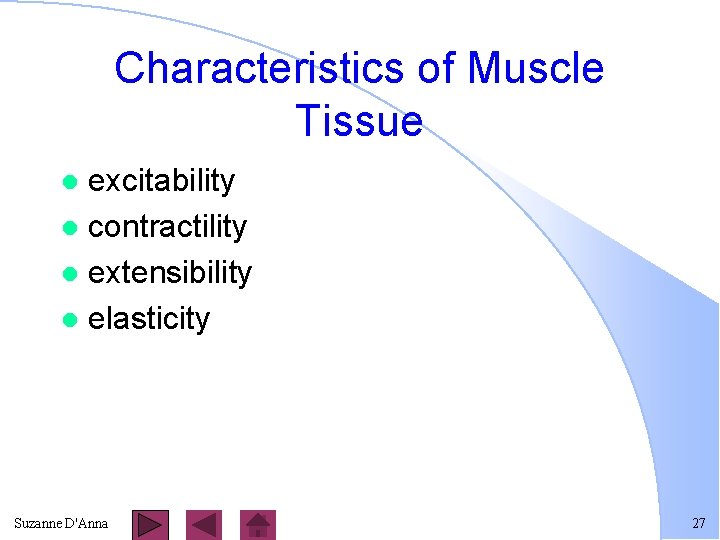 Characteristics of Muscle Tissue excitability l contractility l extensibility l elasticity l Suzanne D'Anna
