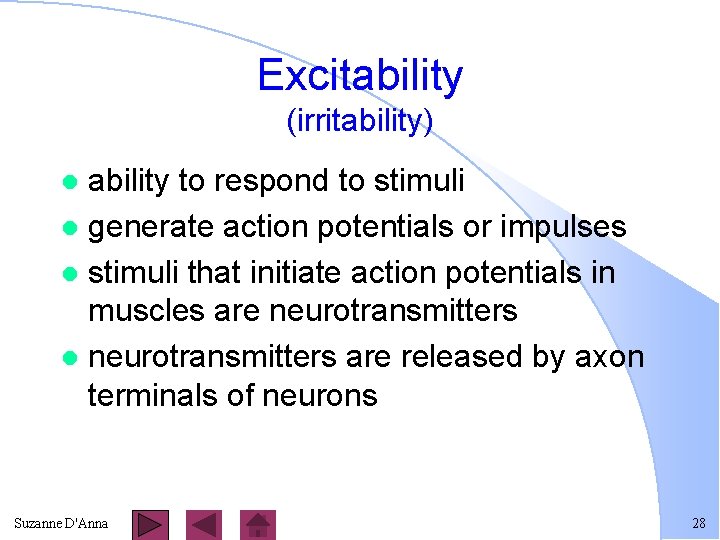 Excitability (irritability) ability to respond to stimuli l generate action potentials or impulses l