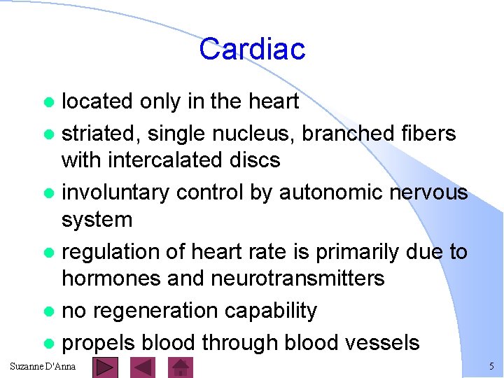 Cardiac located only in the heart l striated, single nucleus, branched fibers with intercalated