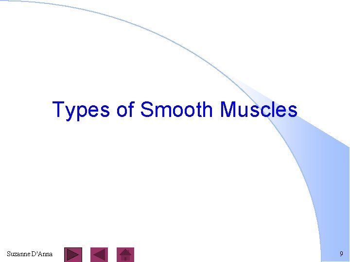 Types of Smooth Muscles Suzanne D'Anna 9 