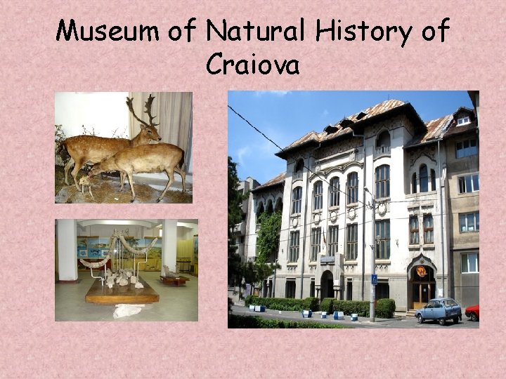 Museum of Natural History of Craiova Museum of Natural History of Craiova