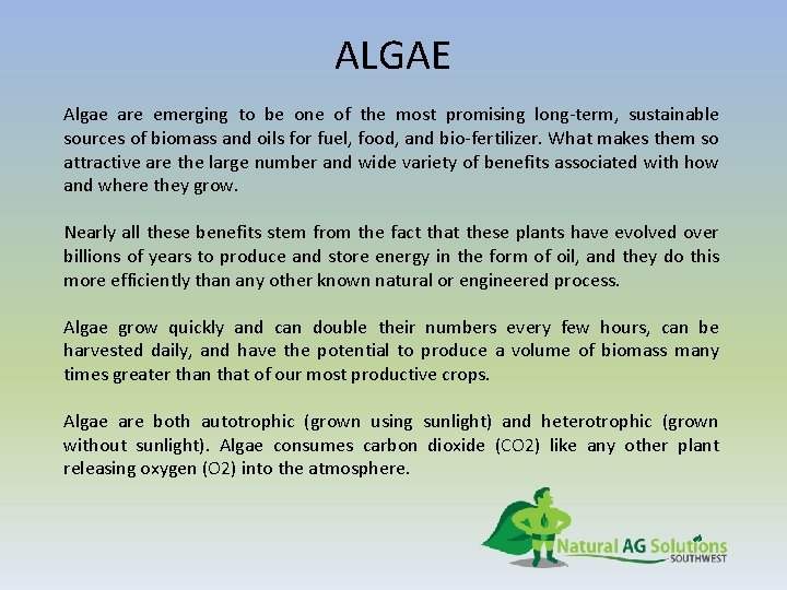 Algae Algae Are Emerging To Be One Of