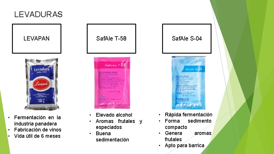 LEVADURAS LEVAPAN • Fermentación en la industria panadera • Fabricación de vinos • Vida