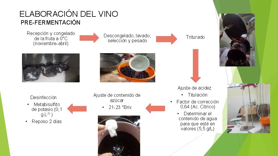 ELABORACIÓN DEL VINO PRE-FERMENTACIÓN Recepción y congelado de la fruta a 0°C (noviembre-abril) Descongelado,