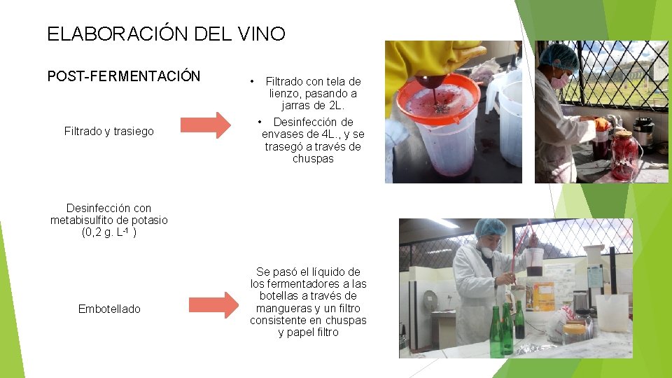 ELABORACIÓN DEL VINO POST-FERMENTACIÓN Filtrado y trasiego • Filtrado con tela de lienzo, pasando