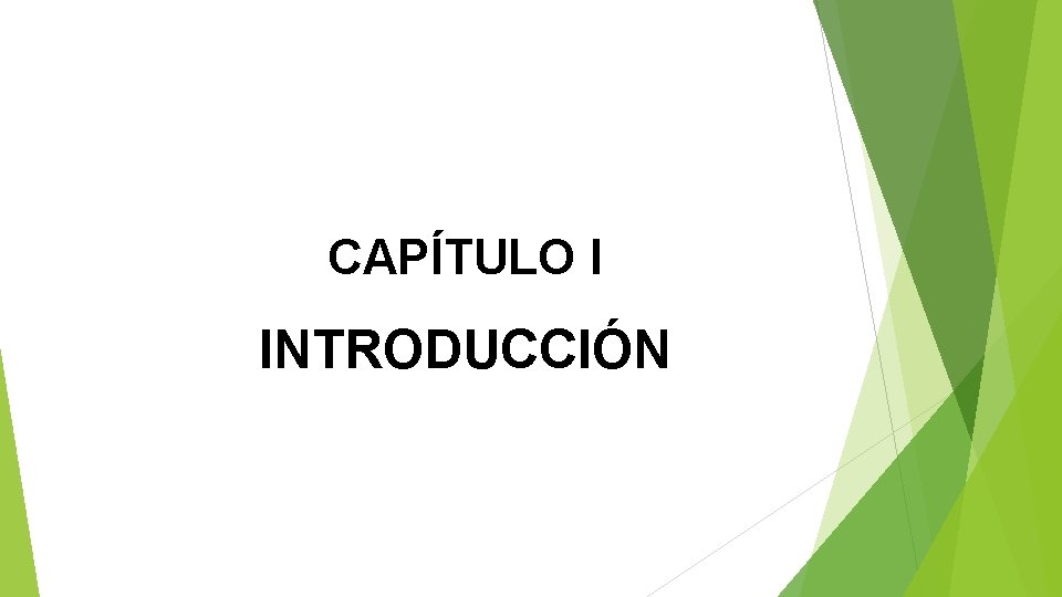 CAPÍTULO I INTRODUCCIÓN 