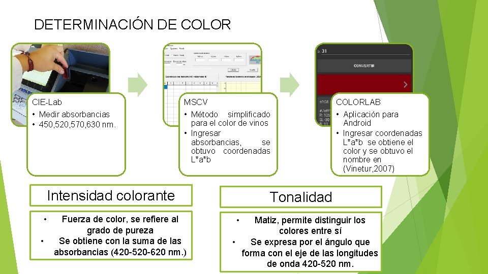 DETERMINACIÓN DE COLOR CIE-Lab MSCV COLORLAB • Medir absorbancias • 450, 520, 570, 630 DETERMINACIÓN DE COLOR CIE-Lab MSCV COLORLAB • Medir absorbancias • 450, 520, 570, 630