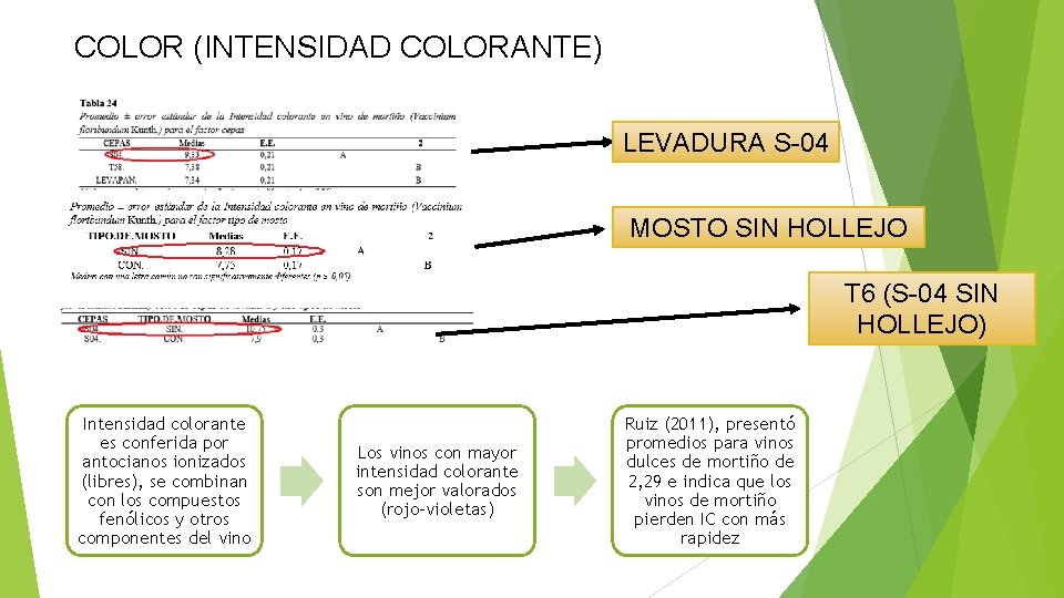 COLOR (INTENSIDAD COLORANTE) LEVADURA S-04 MOSTO SIN HOLLEJO T 6 (S-04 SIN HOLLEJO) Intensidad