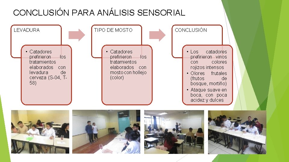 CONCLUSIÓN PARA ANÁLISIS SENSORIAL LEVADURA • Catadores prefirieron los tratamientos elaborados con levadura de