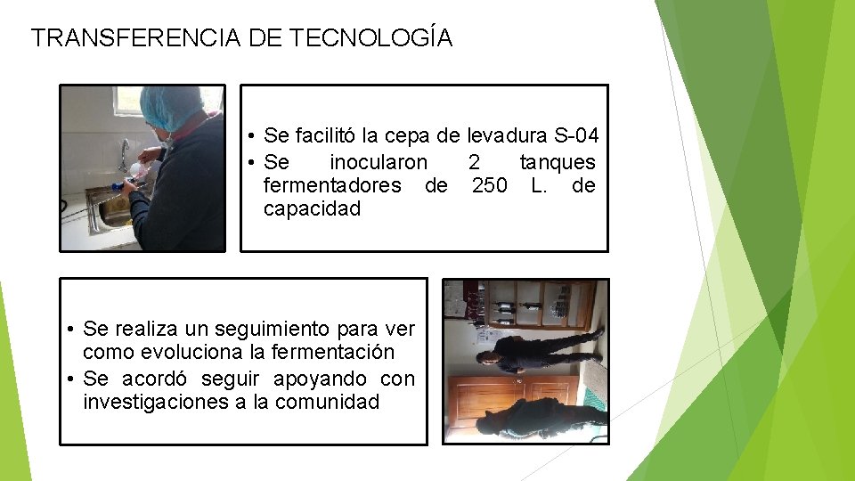 TRANSFERENCIA DE TECNOLOGÍA • Se facilitó la cepa de levadura S-04 • Se inocularon