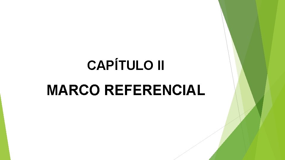 CAPÍTULO II MARCO REFERENCIAL 