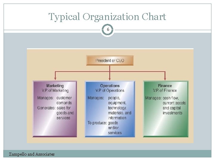 Typical Organization Chart 6 Zampello and Associates 