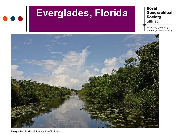 Everglades, Florida © Floridadicau 58, Flickr 