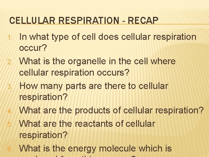 CELLULAR RESPIRATION - RECAP 1. 2. 3. 4. 5. 6. In what type of