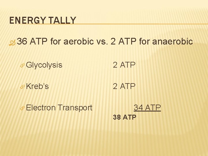 ENERGY TALLY 36 ATP for aerobic vs. 2 ATP for anaerobic Glycolysis 2 ATP