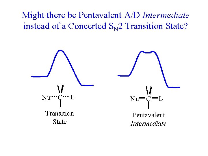 Might there be Pentavalent A/D Intermediate instead of a Concerted SN 2 Transition State?