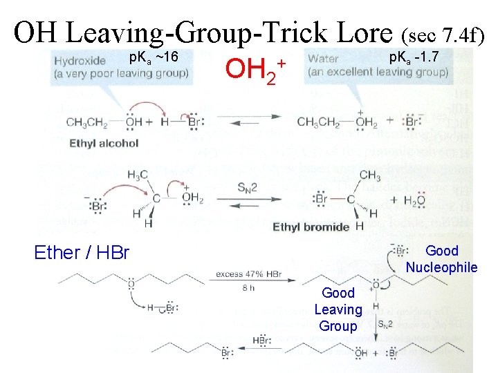 OH Leaving-Group-Trick Lore (sec 7. 4 f) p. Ka ~16 OH 2 p. Ka