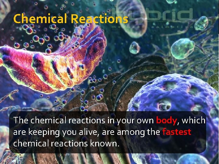 Chemical Reactions The chemical reactions in your own body, which are keeping you alive,