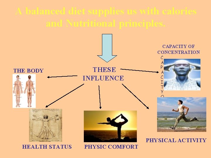 A balanced diet supplies us with calories and Nutritional principles. CAPACITY OF CONCENTRATION THE