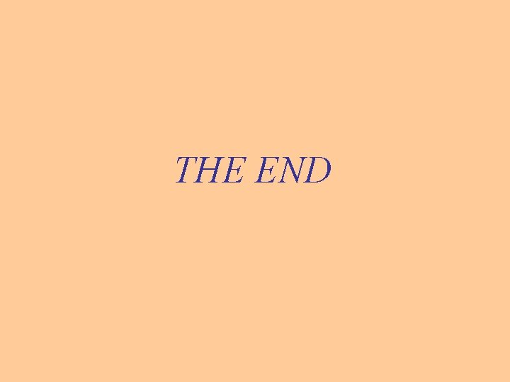 THE END 