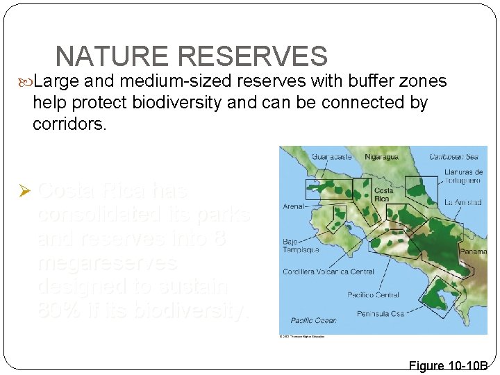 NATURE RESERVES Large and medium-sized reserves with buffer zones help protect biodiversity and can