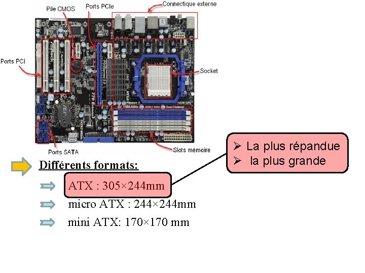 Différents formats: ATX : 305× 244 mm micro ATX : 244× 244 mm mini