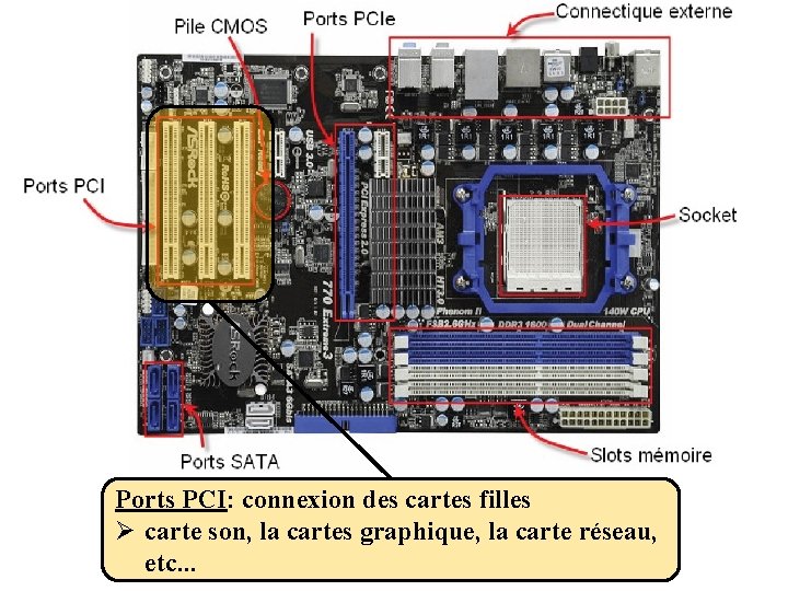 Ports PCI: connexion des cartes filles Ø carte son, la cartes graphique, la carte